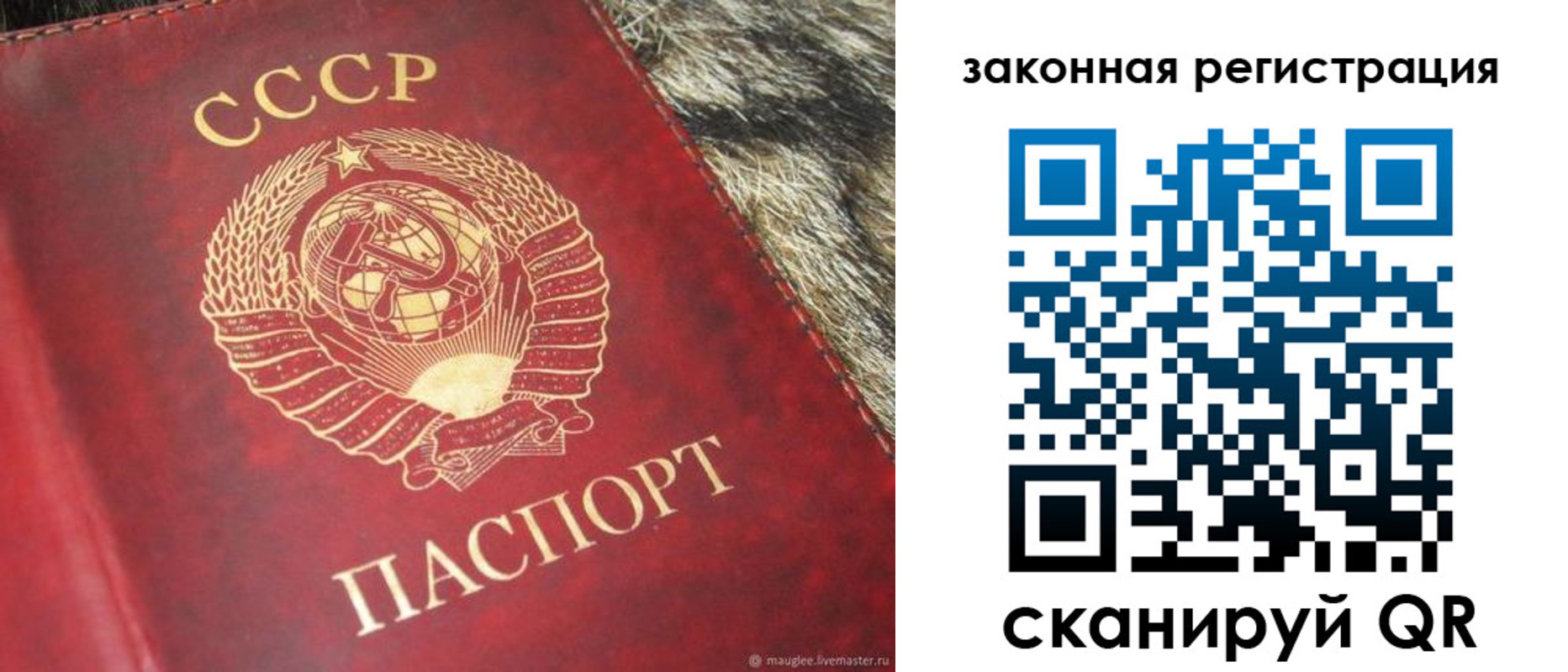 прописка от собственника в Белгородской области